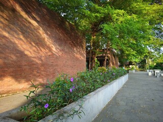blooming flowers with a background of exposed brick walls and large shady trees