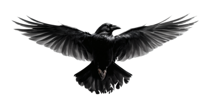 [Transparent Background PNG]Majestic Black Raven in Flight - Powered by Adobe