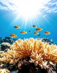 A vibrant coral reef teeming with small, bright fish is illuminated by the sun's rays filte through the clear turquoise water in an ocean paradise location.