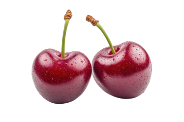 Two glistening, dark-red cherries, stems upward, water droplets visible, set against a black background
