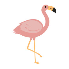 Illustration of a Pink Flamingo