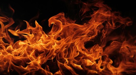 Fiery orange and yellow flames dance against a stark black background, creating a dynamic and intense visual.  The flames exhibit a wide range of textures and forms