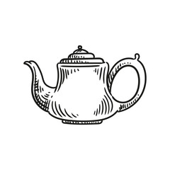 Illustration of an antique teapot, hand-drawn in ink. Original teapot drawings. Line art.
