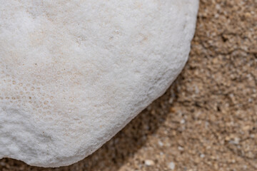 Dead coral fragments with beachrock, Ko Olina Beach Park Honolulu Oahu Hawaii