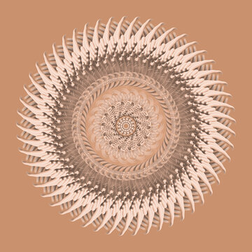 Mandala Pasta 10 inspiring wellness, spirituality pand style