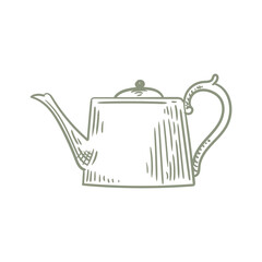 Illustration of an antique teapot, hand-drawn in ink. Original teapot drawings. Line art.
