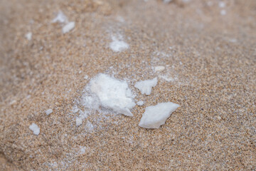 Dead coral fragments with beachrock, Ko Olina Beach Park Honolulu Oahu Hawaii