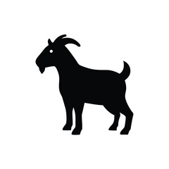 goat on a white background