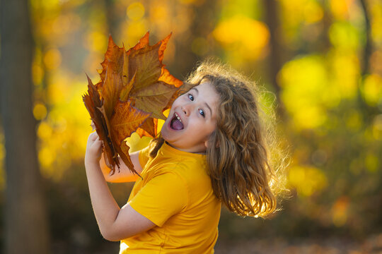 Autumn fall child mood. Little child in autumn orange leaves, outdoor portrait. Funny child face with autumn leaves in autumn park. Child playing with falling golden leaves. Outdoor portrait of kids.