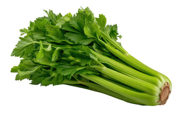 Fresh green celery bunch isolated on transparent background