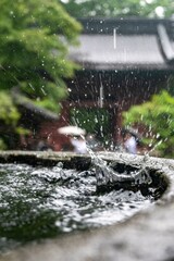鎌倉2506　妙本寺8　二天門