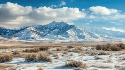 Snowy mountains rise above a winter landscape.