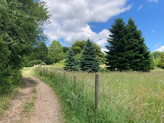 path in the forest
Feldweg zwischen Wald und Wiese, in der Natur im Fr&uuml;hling unter blauem Himmel mit Wolken