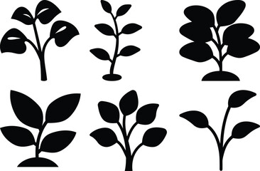 Stylized Silhouette Sprouts A Collection of Young Plants, Seeds and Seedlings