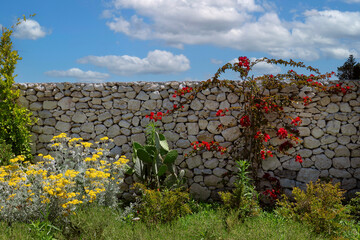 Angolo con piante e fiori 