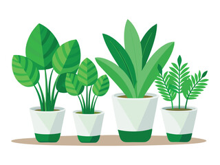  green houseplants in pots isolated on white background
