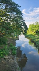 A natural beautiful river in the forest