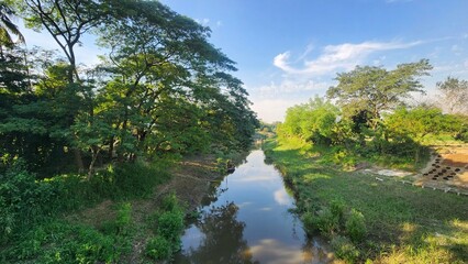 A natural beautiful river in the forest