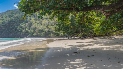 The green branches of tropical trees lean over a secluded sandy beach. The waves of the turquoise ocean are foaming and spreading. Reflection, shadows on wet sand. Blue sky, hill. Philippines. Palawan