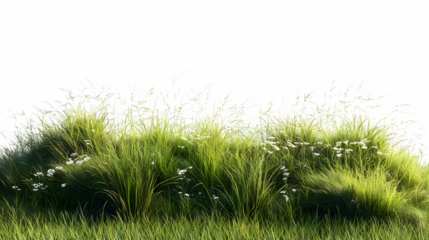 Stylized landscape depicting meadow grass flowers and a bright blue sky illustrating a sunny outdoor day isolated on white transparent background PNG cutout