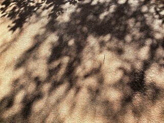 Shadow under strong sunlight highlighting natural surface texture, capturing the beauty of nature's intricate details. Abstract patterns, emphasizing texture, contrast, and organic aesthetics.