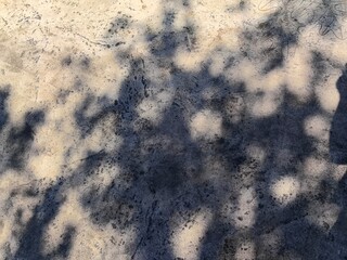 Shadow under strong sunlight highlighting natural surface texture, capturing the beauty of nature's intricate details. Abstract patterns, emphasizing texture, contrast, and organic aesthetics.
