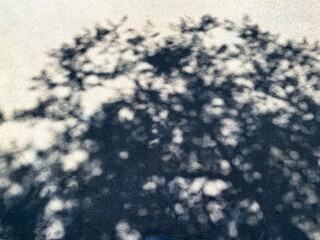 Shadow under strong sunlight highlighting natural surface texture, capturing the beauty of nature's intricate details. Abstract patterns, emphasizing texture, contrast, and organic aesthetics.