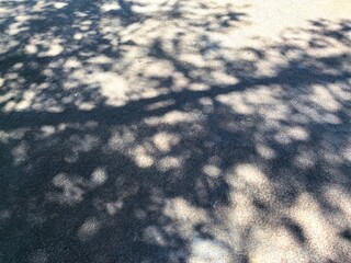 Shadow under strong sunlight highlighting natural surface texture, capturing the beauty of nature's intricate details. Abstract patterns, emphasizing texture, contrast, and organic aesthetics.