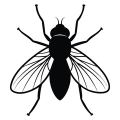 vector illustration of a bee