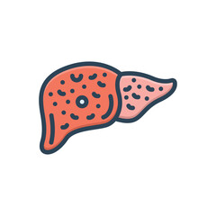 Color illustration icon for cirrhosis