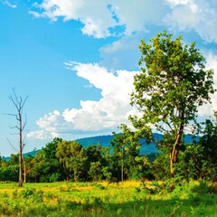 A lush green field stretches out, dotted with vibrant wildflowers, while tall trees stand majestically in the foreground, swaying gently in the breeze.