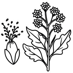 Floral vector illustration set with seamless spring flower and leaf pattern elements