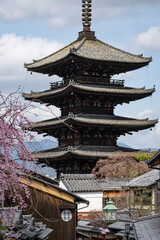The famous building exterior of the Yasaka Pagoda outdoor at daytime framed by pink blooming tree during spring in Kyoto in Japan.