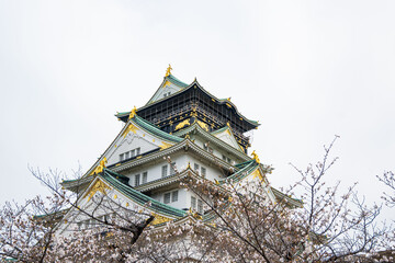The building exterior of the beautiful acient Osaka Castle framed by pink flowers of cherry trees outdoor at daytime during spring in sakura season in Osaka in Japan.