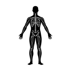 Black silhouette of a human body with visible bones and nerve system