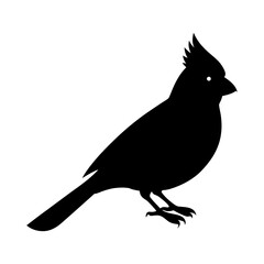 Silhouette of a cardinal bird with a crest standing on its feet side view