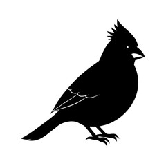 Silhouette of a cardinal bird with crest standing on its feet profile
