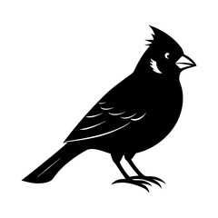 Silhouette of a cardinal bird with crest feathers in a side profile view