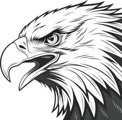 Obraz premium american bald eagle