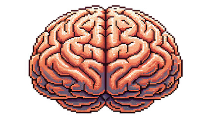 human brain in 8 bit style isolated on white