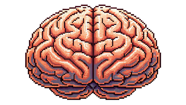 human brain in 8 bit style isolated on white