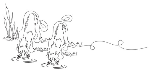 line art of a pair of Tigers drinking at the river, vector spring