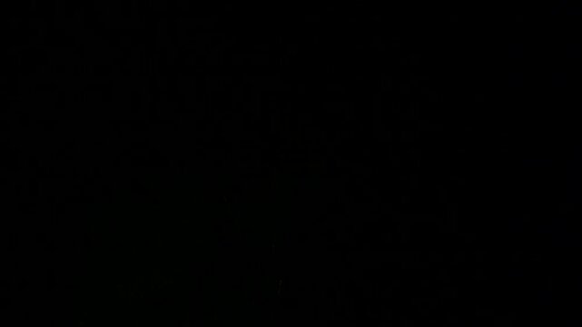 夏　暗い夜空に打ち上げ花火　爆発後キラキラ輝く火の粉の光　夏休み・お祝いの背景