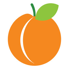 Orange apricot fruit icon isolated on white background