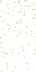 PNG Golden Color Confetti - Party Poper On  Transparent Background 9:16 ratio