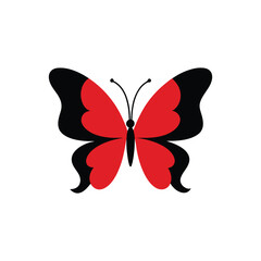 butterfly vector