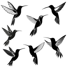 Fototapeta premium Seven hummingbird silhouettes in different poses during flight.