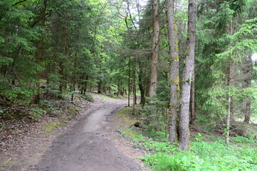 Fototapeta premium Trail in Spring in the Town Bad Berka, Thuringia