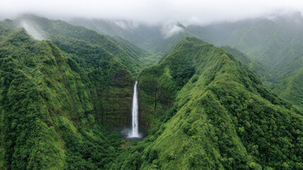 breathtaking aerial view of lush tropical forest highlighting solitary waterfall cascading through dense greenery