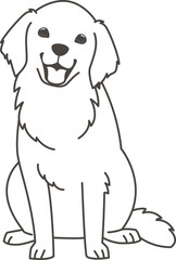 ゴールデンレトリーバー